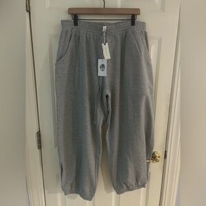 Daily Practice Anthropologie Zola Sweatpants Size Large Gray NWT